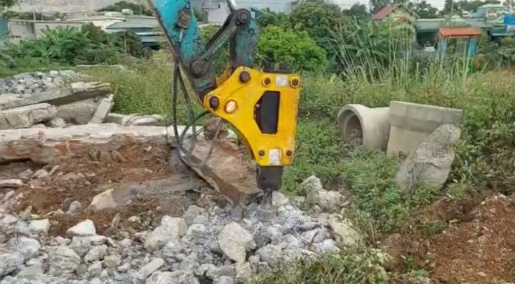 Đinh chân voi Máy 55