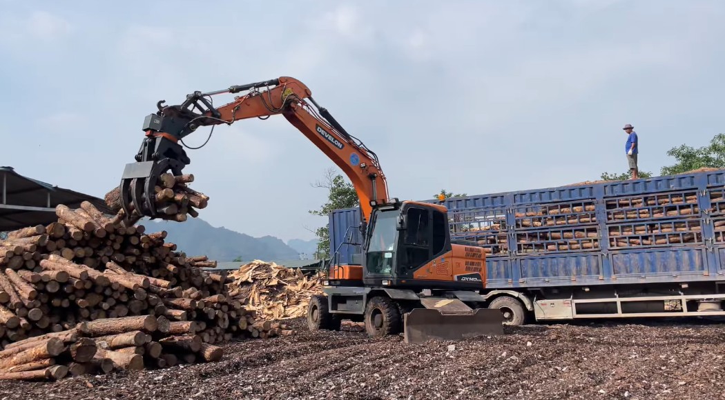 Gắp gỗ SWK (26)