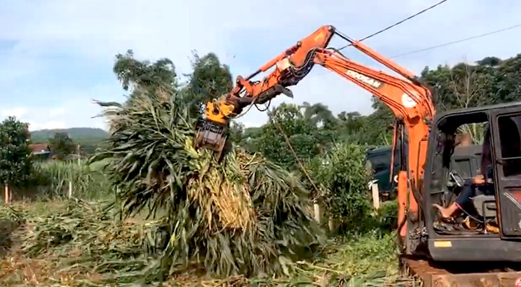 Gắp gỗ SWK (27)